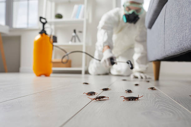 Post-Treatment Bed Bug Interceptor Monitoring in Medford